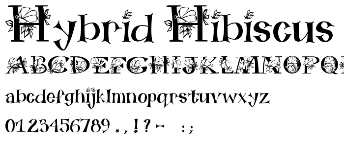 Hybrid Hibiscus  font